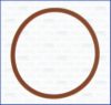 CITRO 110451 Gasket / Seal